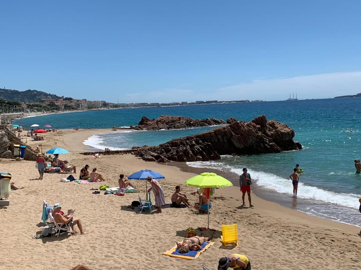 Le Palm Azur - Vue Mer Sur Les Iles De Lerins Канни Екстер'єр фото